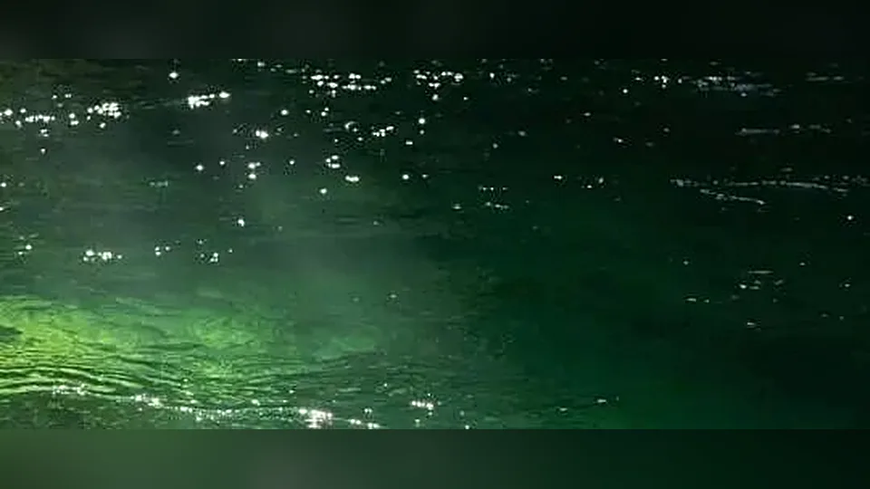 情绪的五行